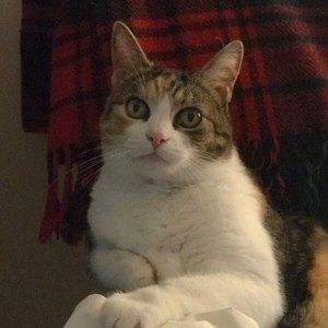 Meet your Posher, Betty